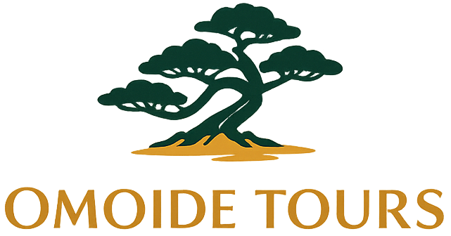 omoidetours.com